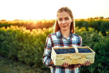A woman is enjoying a peaceful moment picking ripe blue honeysuckle berries in the countryside...