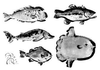 いろいろな手書きの魚の集合　和風筆書きの魚セット　右向き