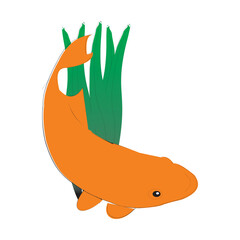 illustration of goldfish and seaweed