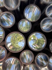 cross section views of nature seen through a tunnel