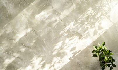 Top view of a clean light marble countertop