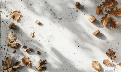 Obraz premium Top view of a white concrete countertop, frame of autumn leaves and nuts