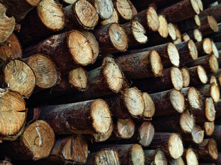 Logs are neatly piled on top of one another, forming a stack