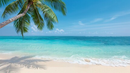 Portray picturesque beach scenes with nature plates, showcasing tropical palms, gentle waves, and the serene beauty of coastal settings. Clean and Clear Color, Realistic Photo, , Minimalism,