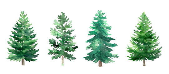 Watercolor Christmas green trees. Spruce and holiday tree. Hand-drawn illustration.