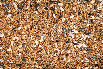 Variety of bird seed is laying on a surface, creating a full frame background image