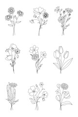 Wildflower line art bouquets set. Hand drawn flowers, meadow herbs, wild plants, botanical elements for arrangements, invitation, greeting cards, wall art, logo, tattoo design. Vector illustration.