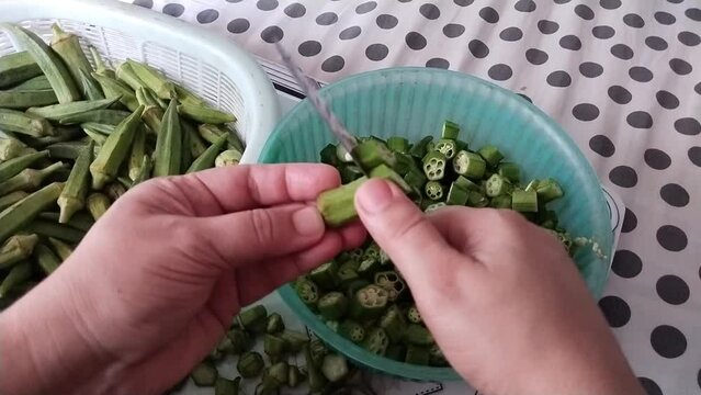 Okra vegetable slicing demo, lady's finger cutting into small pieces bhindi veg gombo okro fresh damen-finger quimbombo quiabo bhindee bhendo chopping view video clip footages 
