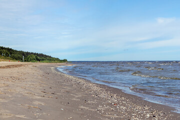 
natural view with beach and forest edge