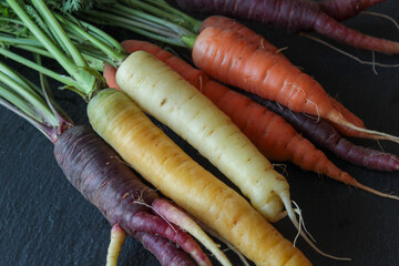 colorful carrots