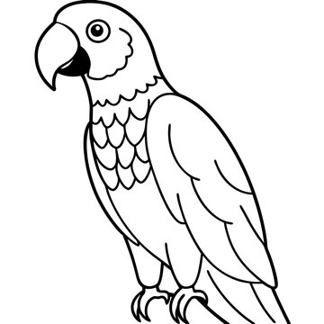 recommend clip art: Parrot on a white background line art vector