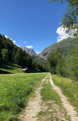 Fototapeta premium Weg