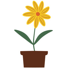 yellow flower in a pot isolated