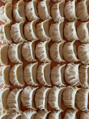 gyoza filled with vegetables and tofu