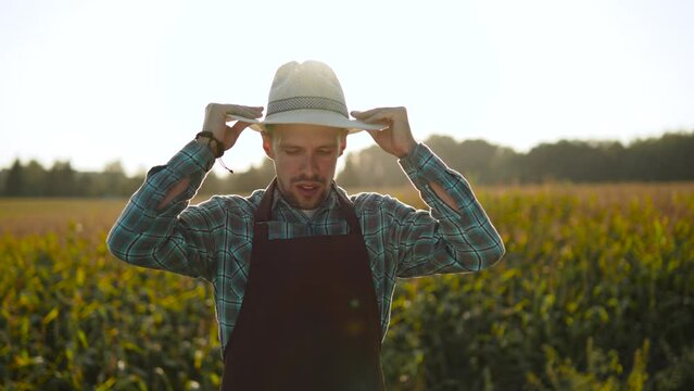 Portrait of farmer putting on hat on hot day. Sweltering heat in corn field, man protects himself from sunstroke during field work in the sweltering heat.