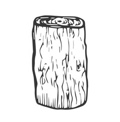 Wooden stump. Remaining tree with roots. Forest or garden plant. Hand drawn outline sketch. Isolated on white background. Vector.