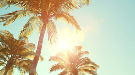 Palm Trees and Sunlight on Blue Background