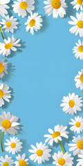 Fototapeta premium A blue background with a bunch of white flowers