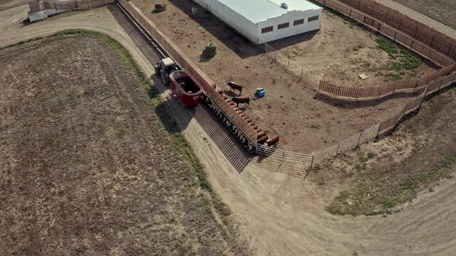 hay for livestock
