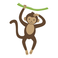 A cute monkey is hanging on a branch isolated on a white background.
