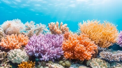 Obraz premium Illustrate the enchanting beauty of undersea realms with vibrant depictions of coral reefs, diverse marine life, and the vibrant colors of aquatic environments. Clean and Clear Color, Realistic