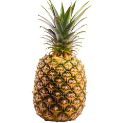 Fototapeta premium Fresh pineapple fruit