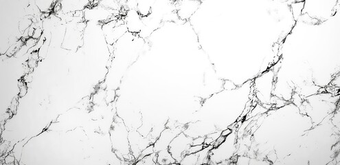 A close-up of white marble, veined with delicate black lines, showcases the natural elegance and timeless beauty of this stone.