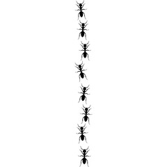 Ants line. Group of ant. Ant and insect silhouette. Ants community