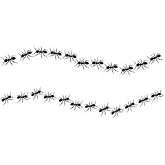 Ants line. Group of ant. Ant and insect silhouette. Ants community