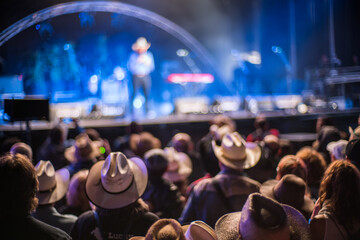 Crowd Enjoying Huercasa Country Festival 2017 in Riaza, Spain