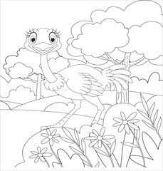 Ostrich coloring page vector illustration for kids 