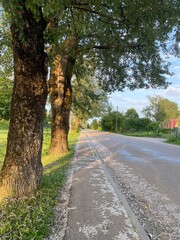 alley in the park