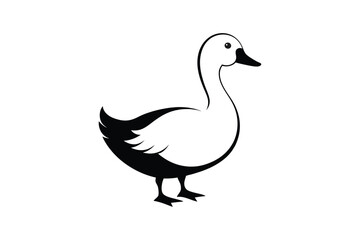 Duck vector