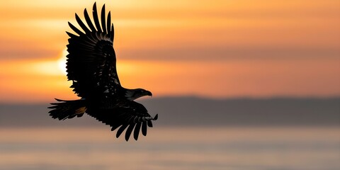 Majestic eagle silhouette soaring in the sky at dusk. Concept Wildlife Photography, Birdwatching, Nature Silhouettes, Skyline Views