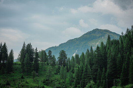 View towards the Auering mountain above the pramollo lake at the nassfeld road pass. Lush green leaves in the soft focus foreground