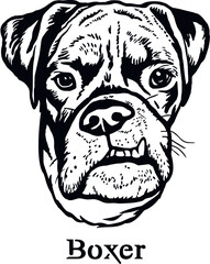 Boxer - Funny Dog, Vector File, Cut Stencil for Tshirt