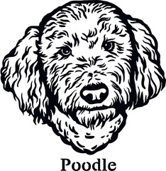 Poodle - Funny Dog, Vector File, Cut Stencil for Tshirt