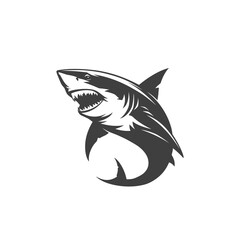 Shark, black graphic silhouette of wild predatory sea animal. For design concepts, logos, stickers. Vector illustration.