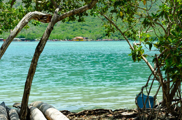 Vista del canal interno en La Ciénaga de Ocumare de la Costa, Venezuela.
