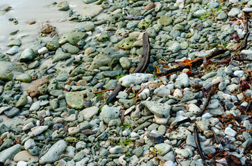 Textura natural de piedras en la orilla de la playa II