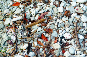 Textura natural de piedras en la orilla de la playa