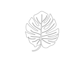 Continuous one line drawing of monstera leaf. One line drawing illustration of philodendron Monstera leaf. Foliage concept line art. Editable outline. © TiyoSakhi