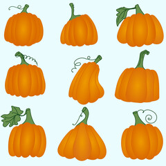 Orange pumpkins of different shapes are good for Halloween and face painting. Some pumpkins have leaves. Vector illustration