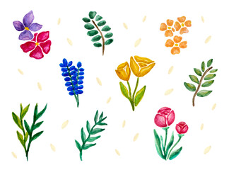 Watercolor flowers set, consisting of different flowers, branches and leaves. Floral elements design which can be used as a decoration for invitation and greeting cards, posters and other needs. 