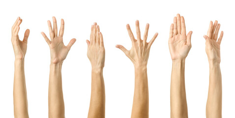 Raised hand. Multiple images set of female caucasian hand with french manicure showing Raised hand gesture
