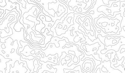 Abstract topographic contours map background. Topographic map and landscape terrain texture grid . Fish Fillet Texture, Salmon fillet texture,