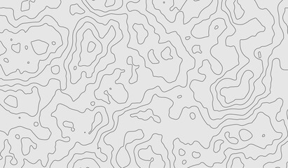 Wood texture imitation, black lines on white background, vector design, banner.