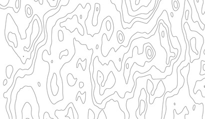 Topographic map background. Topo contour map on white background.