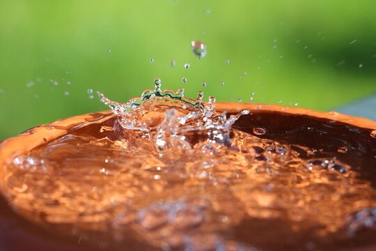rain is falling in a small barrel full of water in the garden
