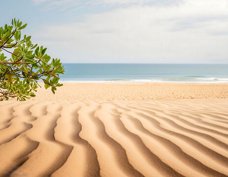 Sandy beach lined with palm trees under a sunny blue sky.
